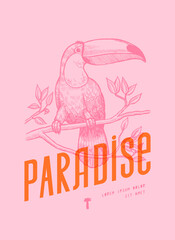 Obraz premium Toucan on branch with retro paradise typography, yellow and pink vintage t-shirt print vector illustration