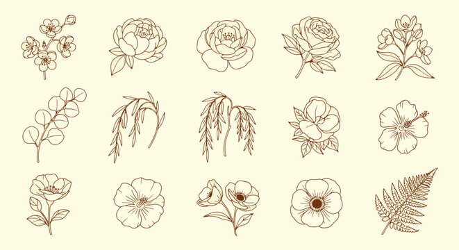 Elegant hand drawn floral line art set featuring delicate botanical blooms garden flowers and greenery leaves for wedding invitation design vector illustration