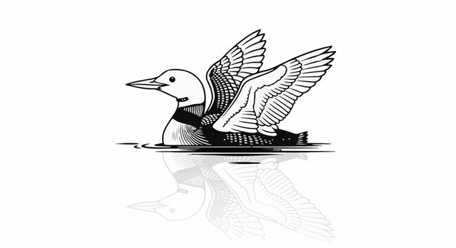 A black and white illustration of a loon with wings spread, floating on water with a reflection