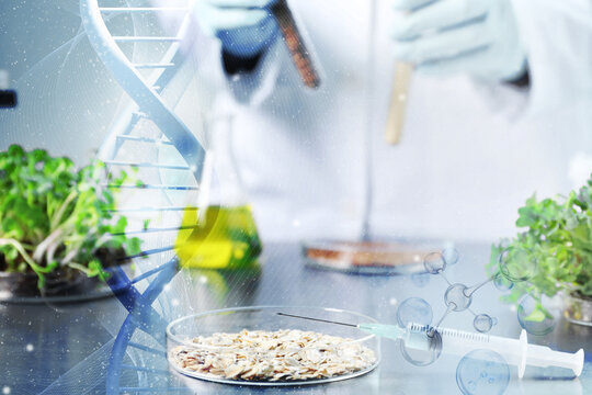 Syringe and Petri dish on table, scientist working with samples. Double exposure with DNA strands and molecules