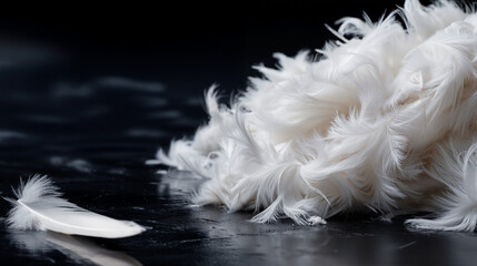 Fototapeta premium Pile of white ostrich feathers from stage outfit soaked in water and stuck to black glossy floor with high contrast and intricate textures in luxury fashion setting