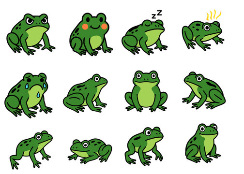 Cute Cartoon Frog Emotion Set, Green Frog Character Collection with Different Expressions Sleeping Angry Sad Vector Illustration