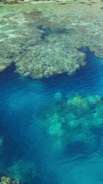Vertical Aerial of Pristine Coral Reef and Turquoise Lagoons surrounding Tropical Island in the South Pacific