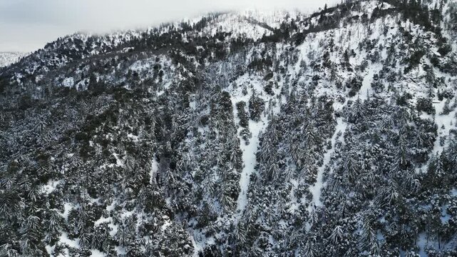The California San Gorgonio San Bernardino Mountain Range near the Mill Creek in the Watershed looking at the Mountains and trees covered in Snow after a Winter Storm from a UAV Drone Aerial Shot alon