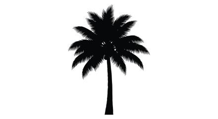 A striking black palm tree stands against a bright white background silhouette © AL-AMIN