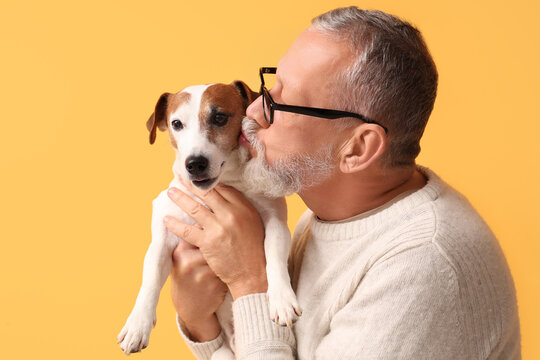 Senior man kissing cute dog on yellow background