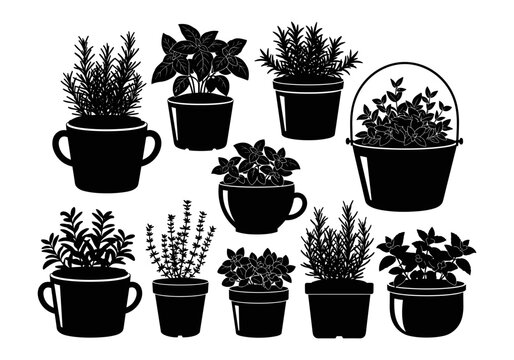 Collection of silhouette potted herbs including basil, rosemary, and thyme