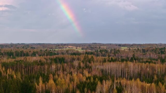 Aerial view of autumn forest under a soft rainbow, with colorful treetops, distant fields, and calm countryside stretching beneath a cloudy sky.