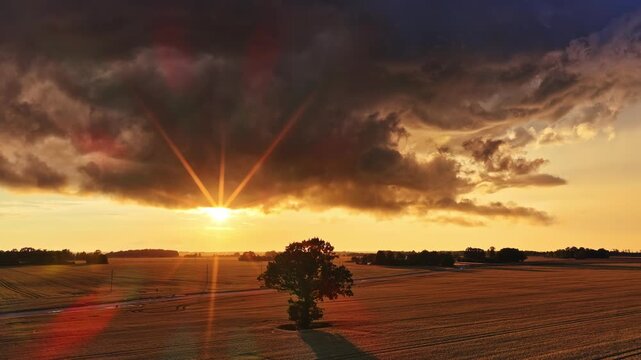 Dramatic sunset over open farmland with a lone tree, sunstar rays, and dark storm clouds creating a cinematic rural landscape in warm evening light.