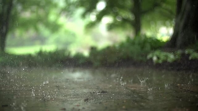 Close-ups of rain drops falling on the ground in slow motion