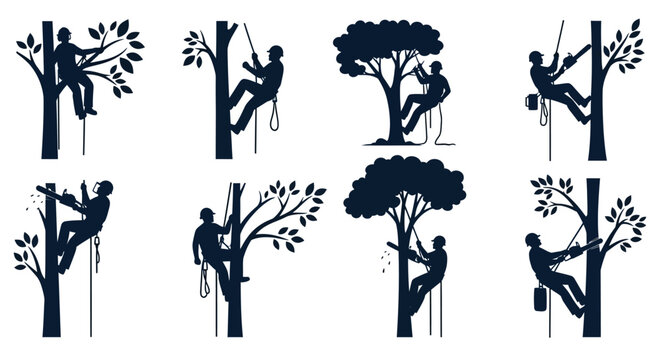 Arborist silhouettes climbing and pruning trees with chainsaws