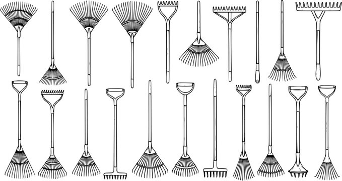 Set of diverse garden rakes: various types including leaf rakes and soil rakes for gardening and yard work, detailed line art illustration.