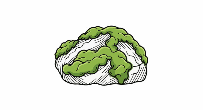 A rough, white rock with bumpy green moss growing on its surface
