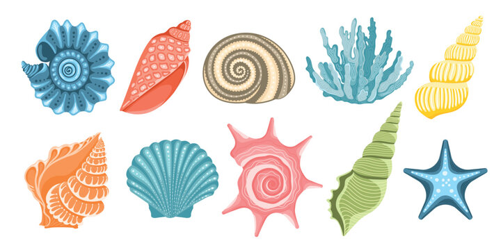 Seashell collection with spiral shells, scallop shells, starfish and coral decorative marine elements isolated