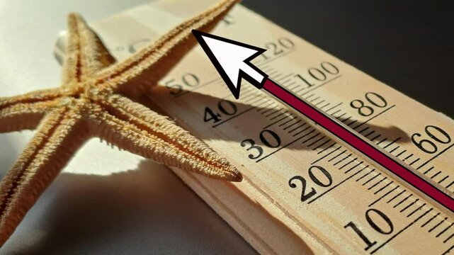 Summer line moves forward on thermometer, summer concept with starfish at sea on thermometer