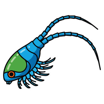 cartoon copepod marine plankton vector design template