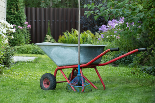 Empty wheelbarrow with rake on lawn gardening tools backyard concept