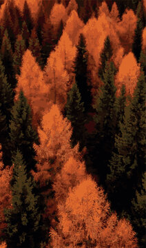 Aerial View of Autumn Forest with Orange Deciduous and Dark Evergreen Trees, Vector Illustration