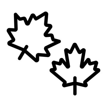 Maple leaf Line Icon