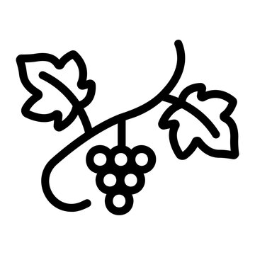 Vine plant Line Icon
