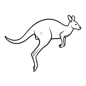 A detailed black and white illustration of a kangaroo in motion.