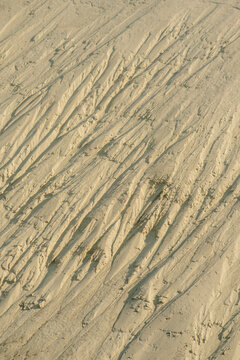 View of natural erosion patterns on a sandy slope with detailed ridges and grooves in Futog, Vojvodina, Serbia.