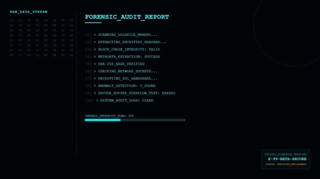 Forensic Audit Report Cyber Security Data Scan HUD.