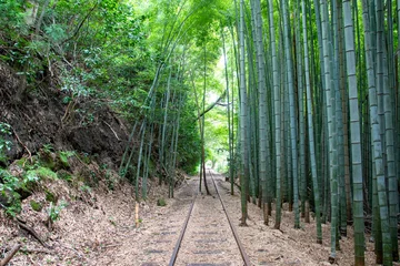 Fototapeten Bambus 旧国鉄倉吉線廃線跡 竹林の中に残る線路と幻想的な風景（Abandoned railway tracks remaining in the beautiful bamboo forest, Kurayoshi Japan）  © JOWNAKA