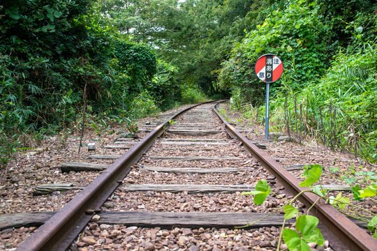 旧国鉄倉吉線廃線跡 竹林の中に残る線路と幻想的な風景（Abandoned railway tracks remaining in the beautiful bamboo forest, Kurayoshi Japan）