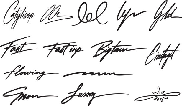 Handwritten Cursive Signature Script Calligraphy Font Style Design Elements Set on White Background