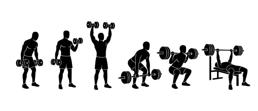 Gym workout exercise silhouettes, fitness weightlifting routine set. Man training with dumbbells and barbell, deadlift, squats and bench press movements for bodybuilding, sports health vector graphic.
