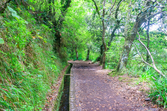 Levada dos Balcoes in Ribeiro Frio Natural Park on  Madeira Island, Portugal