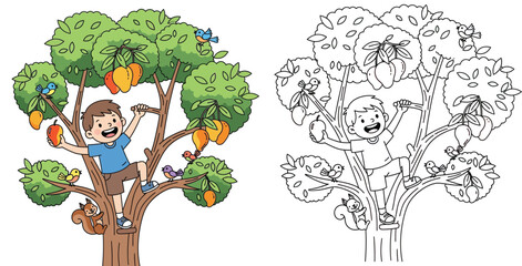 Fototapeta premium Cute boy climbing mango tree to pick fruit, color illustration and black and white coloring page outline for kids