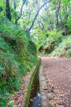 Levada dos Balcoes in Ribeiro Frio Natural Park on  Madeira Island, Portugal