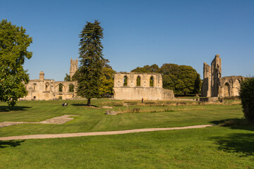 Fototapeta premium Ancient Ruins of Glastonbury Abbey with Gothic Arches under a Clear Blue Sky 