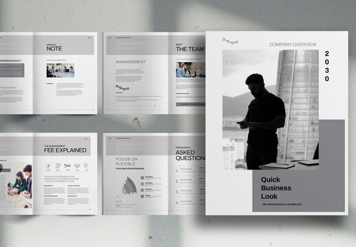 Light Grey Modern Company Overview Report Brochure Layout
