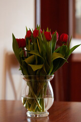 Bukiet czerwonych tulipanów ustawiony w pokoju hotelowym. Dekoracyjne kwiaty ocieplają wnętrze i podkreślają przytulny, elegancki charakter miejsca noclegowego. © Freshfanpage