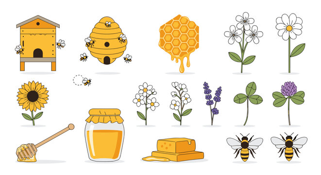 Bees and flowers with honey.