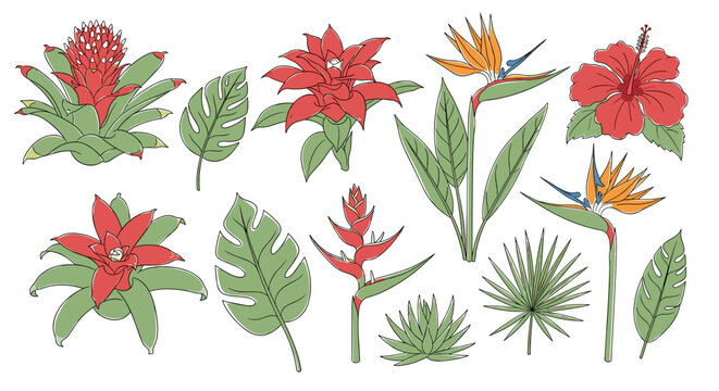 Tropical flowers and green leaves.