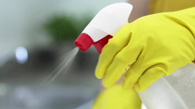 Hand gloves cleans with disinfectant spray for housekeeping, bacteria removal or housework.Hygiene, person and chemical bottle in home for domestic chores, germ protection or virus sanitation at home.