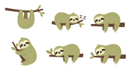 Obraz premium Cute Sloth Hanging Upside Down.