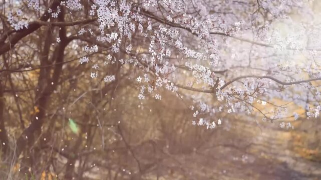 Cinematic slow-motion shot of trees in spring gently swaying in a light breeze. Fresh green leaves move softly under natural sunlight, creating a calm and peaceful atmosphere. Dappled light filters th