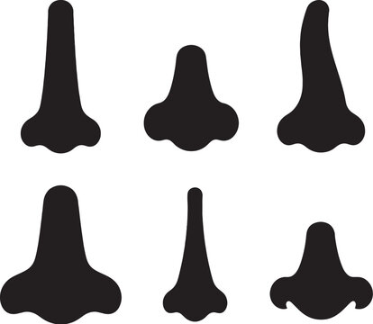 Nose Shapes Silhouettes Set Straight Button Roman Wide Narrow Upturned Nose Vector