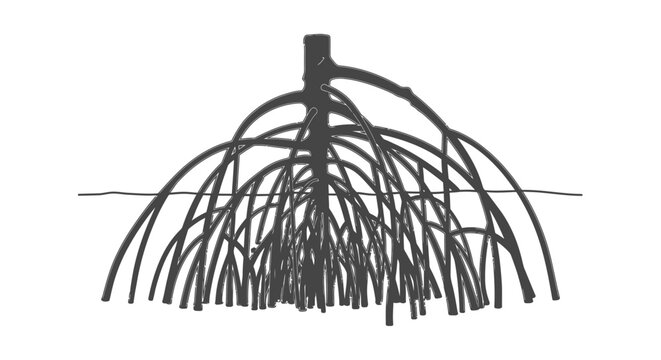 Black wire object with curved lines.