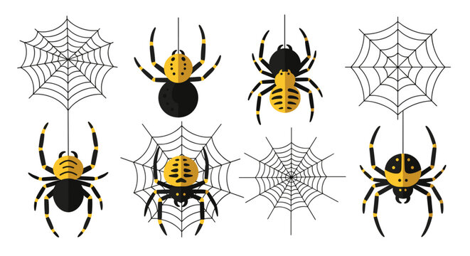 Black widow spiders and webs.