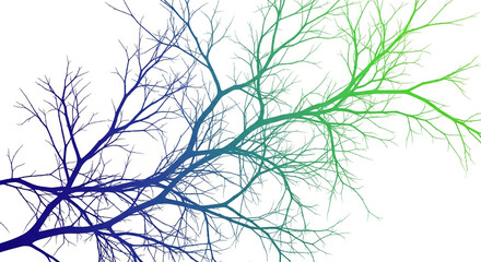 Fototapeta premium Abstract Blue to Green Gradient Tree Branches - Bare Limb Silhouette Design