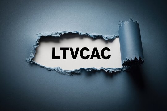 LTVCAC acronym for a key business viability ratio