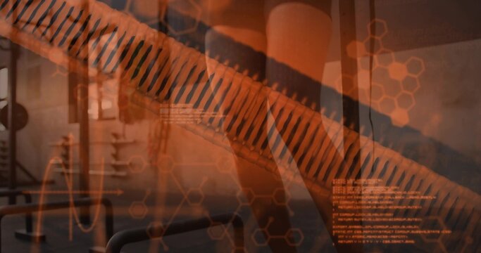 Overlaying semi-transparent spine graphic dominating gym, showing squat racks, barbells, hex grid