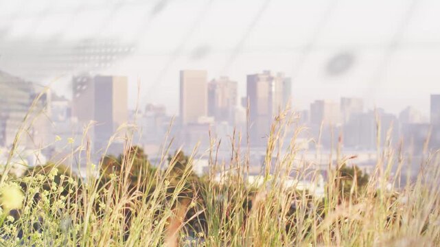 On start dotted map overlay shifting and fading over tall grasses, revealing skyline for broadcast