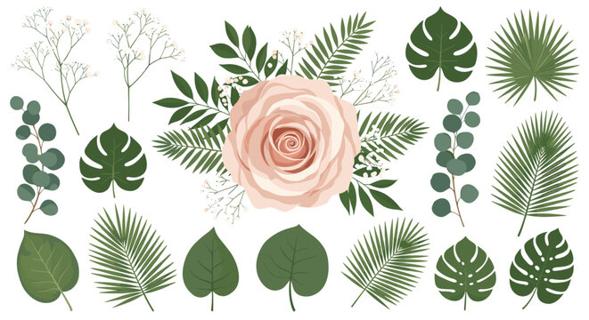 Beautiful botanical set featuring a large pink rose bloom and various green tropical leaves like monstera, palm, and eucalyptus.